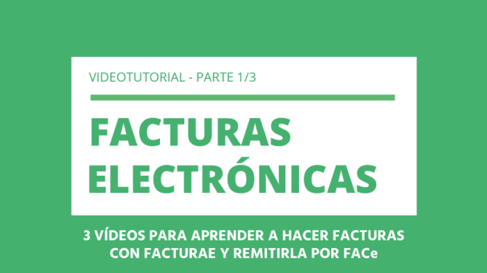 hacer-factura-electronica-con-facturae-y-FACe Hacer factura electrónica con Facturae y remitirla por FACe